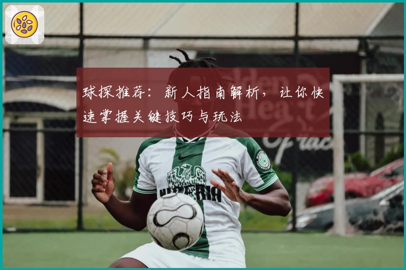 球探推荐：新人指南解析，让你快速掌握关键技巧与玩法