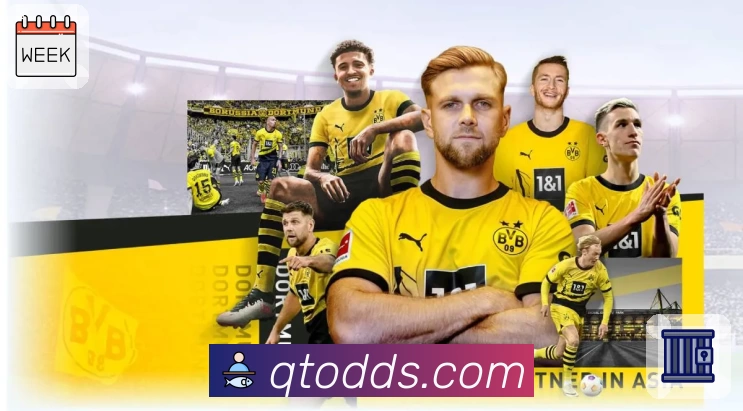 球探体育即时比分比分服务体系